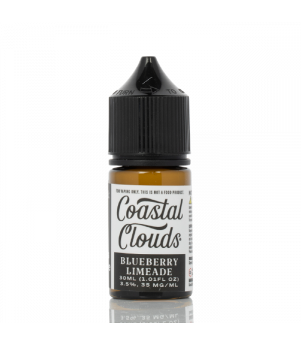 Saltwater Blueberry Limeade - Coastal Clouds Co. - 30mL
