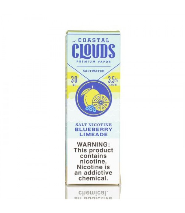 Saltwater Blueberry Limeade - Coastal Clouds Co. - 30mL
