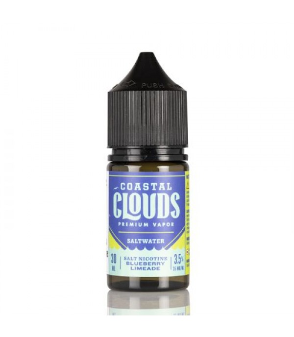 Saltwater Blueberry Limeade - Coastal Clouds Co. - 30mL